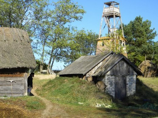 Чи принесе лелека в Сваловичі життя?